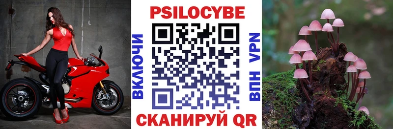 Галлюциногенные грибы прущие грибы  купить наркотики цена  Кизел 