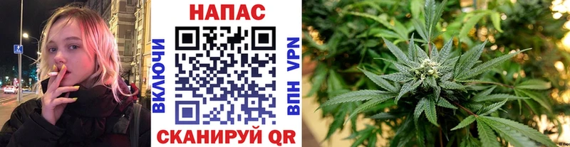 нарко площадка клад Кизел Бошки марихуана индика KRAKEN ТОР